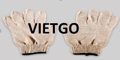 Găng Tay Vietgo Găng Tay Vietgo